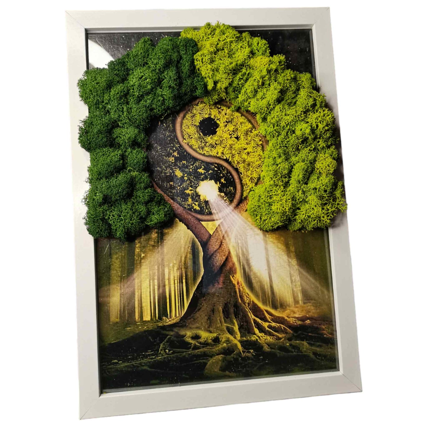 Tablou cu licheni naturali, stabilizati. ,odel copac cu licheni "Yin-Yang".