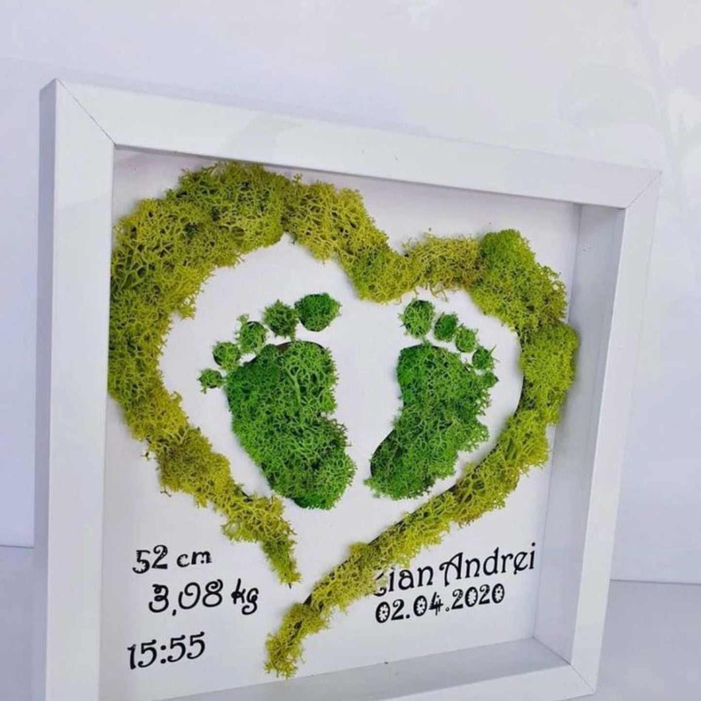 Tablou cu licheni naturali in forma de talpite si text personalizat cu datele bebelusului de la nastere. de 20x25 cm.