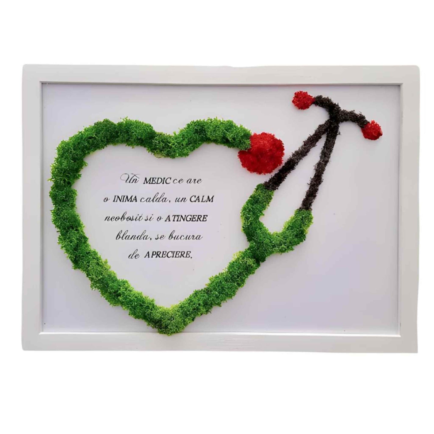 Tablou cu licheni 100% naturali si text personalizat pentru doctori sau medici, cu stetoscop si rama alba de 20x25 cm.