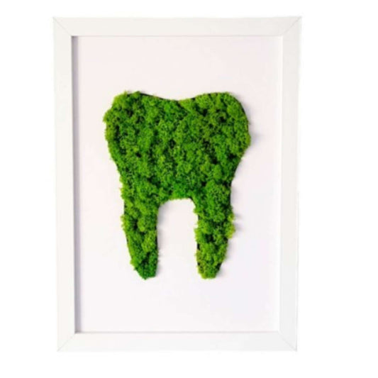 Tablou cu licheni naturali, handmade, in forma de dinte pentru dentist sau stomatolog, de 20x25 cm.