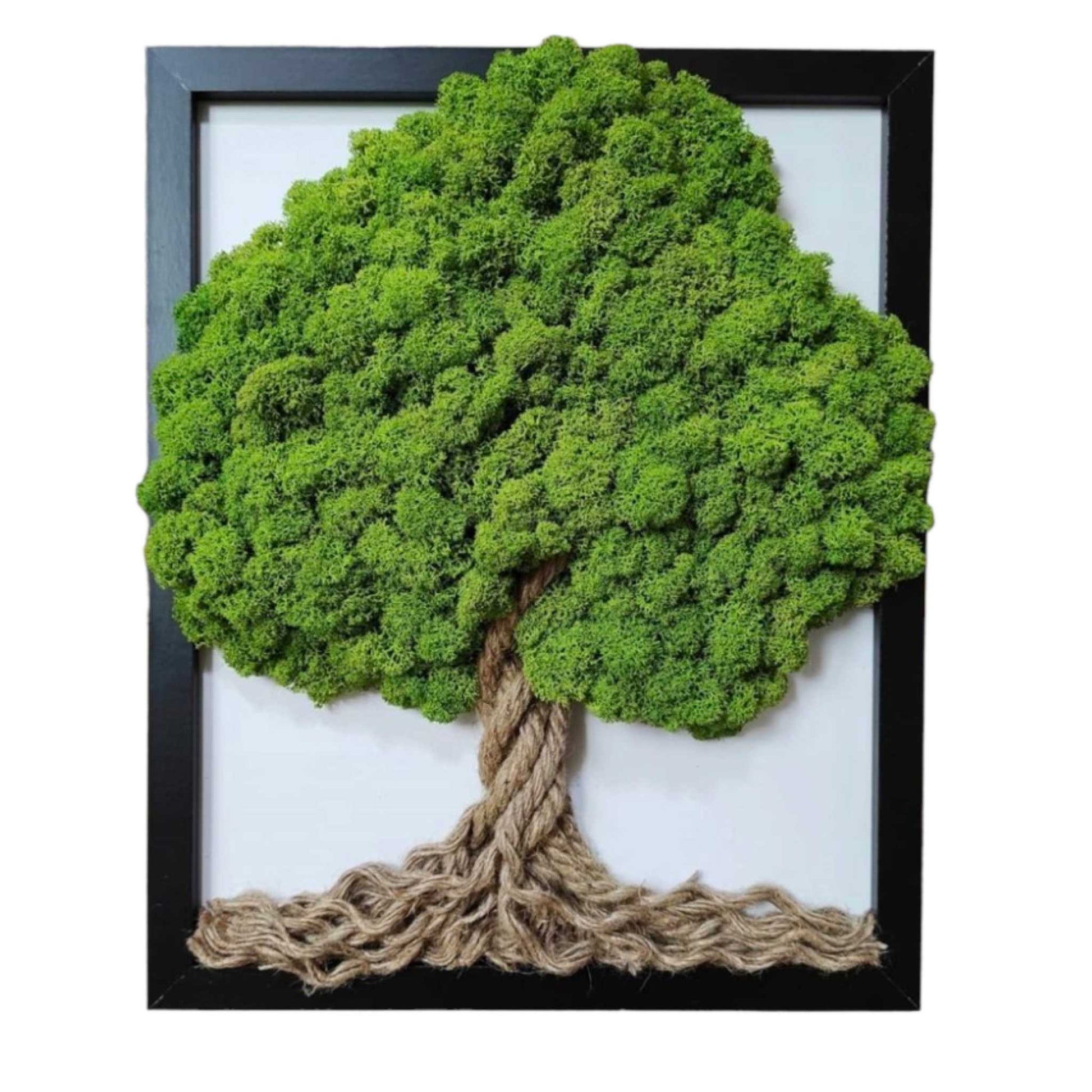Tablou cu licheni naturali, stabilizati si funie modelata manual, cu rama neagra din lemn natur, copac 3D de 20x25 cm.
